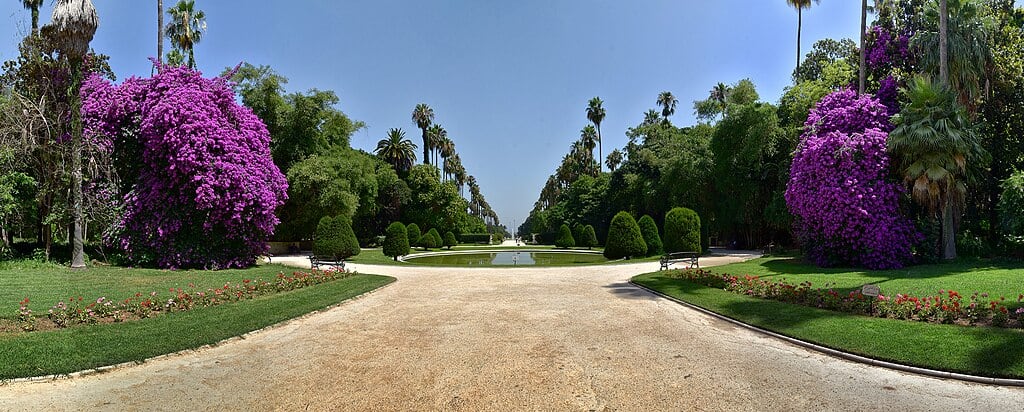 Jardin d’Essai du Hamma: Algiers’ 32-Hectare Green Lung Where Histories Meet