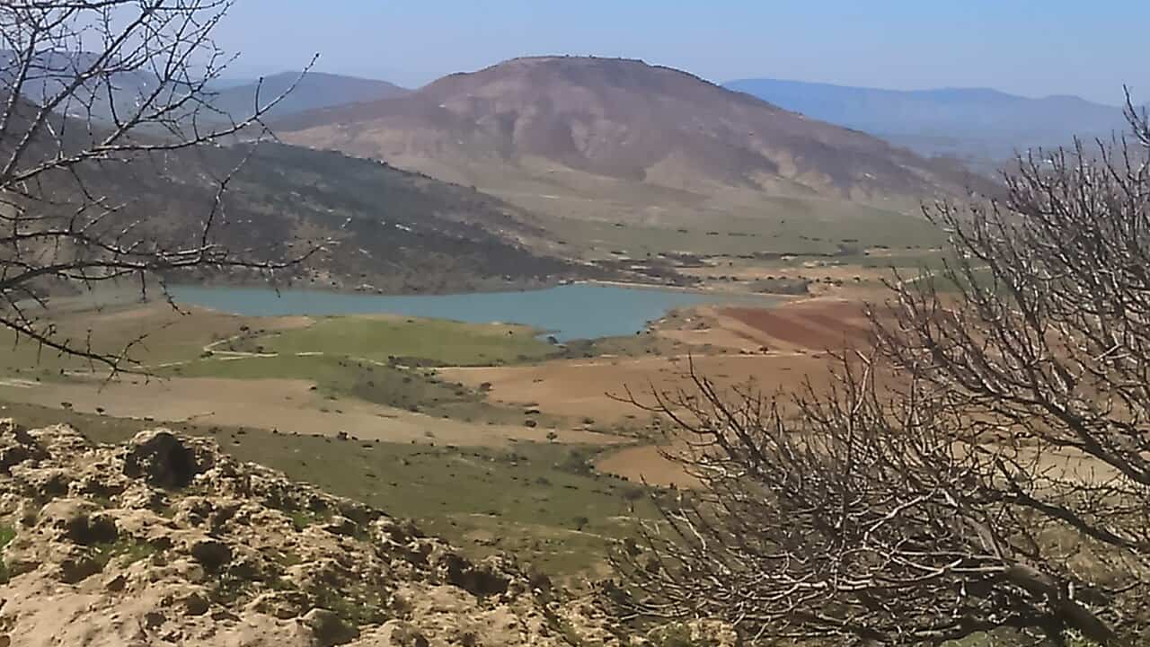 Landscape near Frenda in Tiaret Province, western Algeria, associated with the region where Ibn Khaldun wrote the first draft of the Muqaddimah.